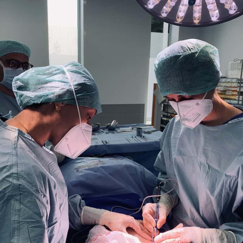 Brustaufbau mit Eigenfett &#8211; Nach Brustkrebs bessere Lebensqualität als mit Implantaten